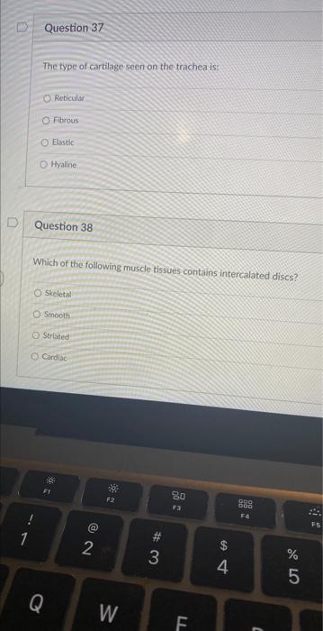 Question 37 1 The Type Of Cartilage Seen On The Trachea Is O Reticular Fibrous O Hyaline D Question 38 Elastic Which Of 1