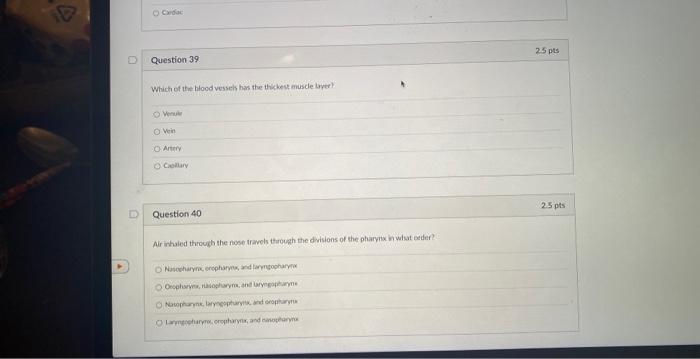 Question 37 1 The Type Of Cartilage Seen On The Trachea Is O Reticular Fibrous O Hyaline D Question 38 Elastic Which Of 2