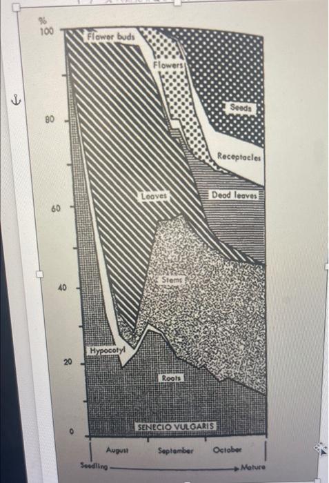 Shoot Seed Augent Page 6 Of A Serregio Via Gares Ocicher 1200ade Ma M 1cm Tiller Leaf Node Axile Roots Lnr Coleoptile 3