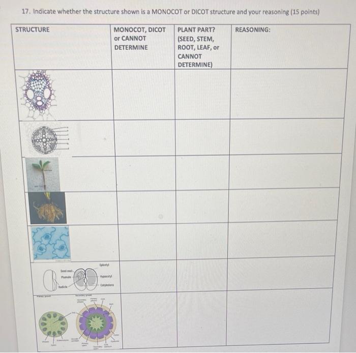 17 Indicate Whether The Structure Shown Is A Monocot Or Dicot Structure And Your Reasoning 15 Points Monocot Dicot O 1