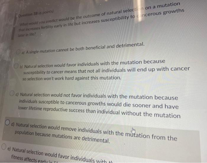 Question 38 6 Points What Would You Predict Would Be The Outcome Of Natural Selection On A Mutation That Increases Fer 1