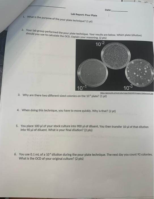 Lab Report Pour Plate 1 What Is The Purpose Of The Pour Plate Technique 1 Pt Date 2 Your Lab Group Performed The 1