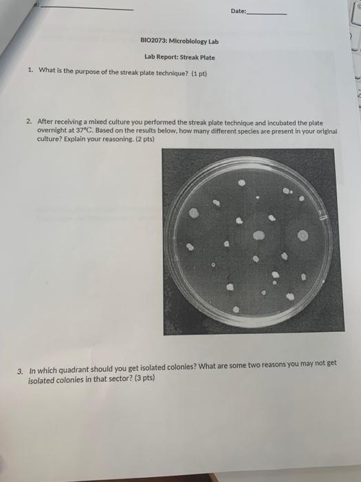 Bio2073 Microbiology Lab Lab Report Streak Plate 1 What Is The Purpose Of The Streak Plate Technique 1 Pt Date 2 1