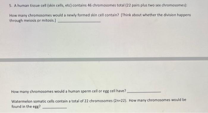 5 A Human Tissue Cell Skin Cells Etc Contains 46 Chromosomes Total 22 Pairs Plus Two Sex Chromosomes How Many Chr 1