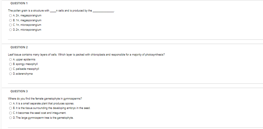 Question 1 The Pollen Grain Is A Structure With O A 2n Megasporangium Ob 1n Megasporangium O C 1n Microsporangium 1