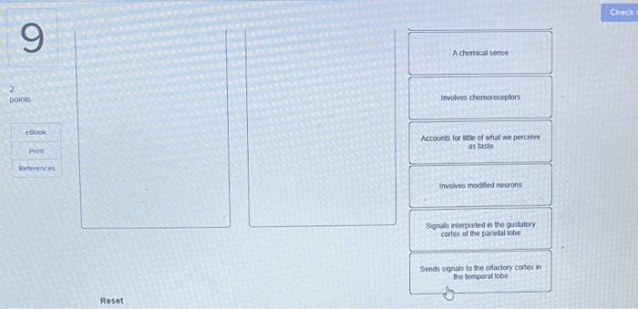 9 2 Points Ebook Print References Compare And Contrast The Senses Of Taste And Smell By Dragging The Choices Below Into 2