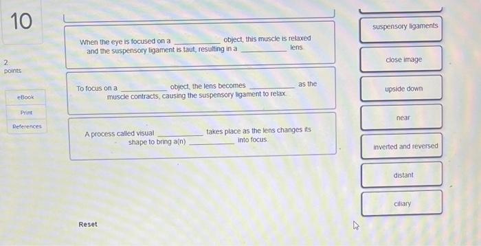 O Book Print Erences Complete The Following Sentences About How The Eye Focuses On Near And Far Objects An Image Is Fo 2
