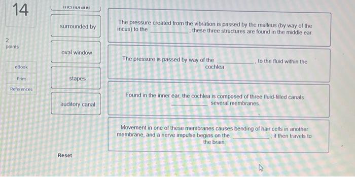 14 Ints Ebook Print References Complete The Following Sentences To Describe The Mechanism By Which Sound Is Converted F 2
