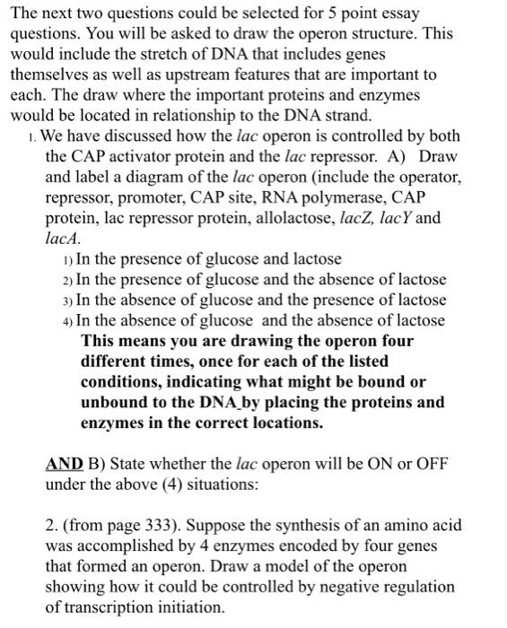 The Next Two Questions Could Be Selected For 5 Point Essay Questions You Will Be Asked To Draw The Operon Structure Th 1