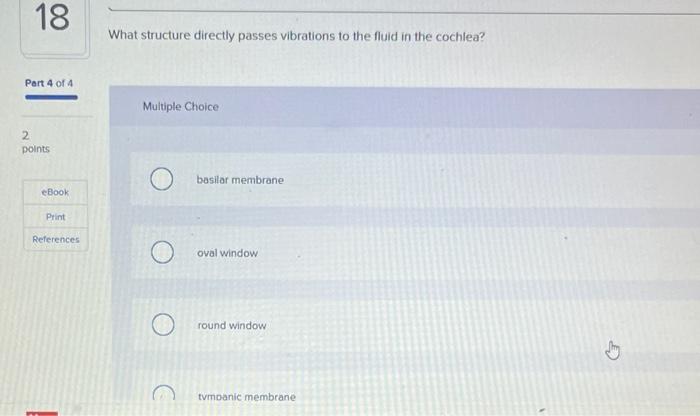 18 Part 4 Of 4 2 Points Ebook Print References What Structure Directly Passes Vibrations To The Fluid In The Cochlea Mu 1