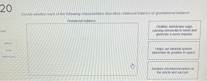 20 Oints Ebook Print References Decide Whether Each Of The Following Characteristics Describes Rotational Balance Or Gr 1