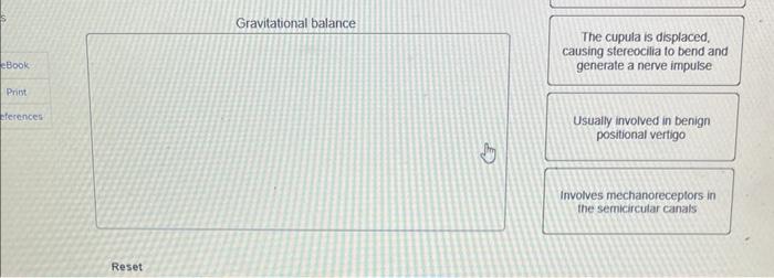 20 Oints Ebook Print References Decide Whether Each Of The Following Characteristics Describes Rotational Balance Or Gr 2