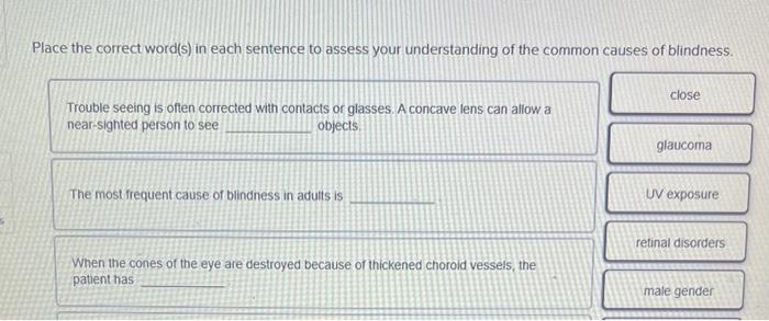 Place The Correct Word S In Each Sentence To Assess Your Understanding Of The Common Causes Of Blindness Trouble Seein 1