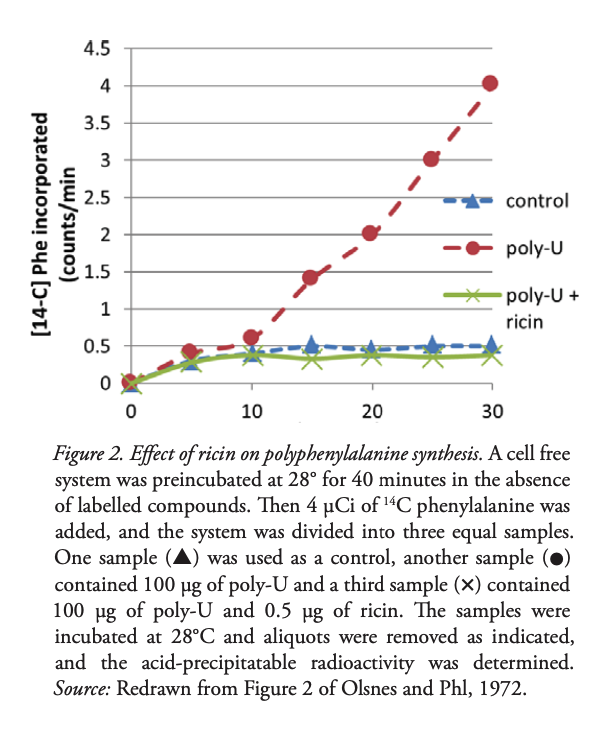 14 C Phe Incorporated Counts Min 4 5 4 3 5 3 2 5 2 1 5 1 0 5 0 0 20 Control Poly U Poly U Ricin 10 30 Figure 2 Eff 1