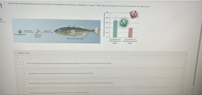1 0 Review The Experiment Discussed In The Section Investigating Life Shining A Spotlight On Danger What Did The Inves 1