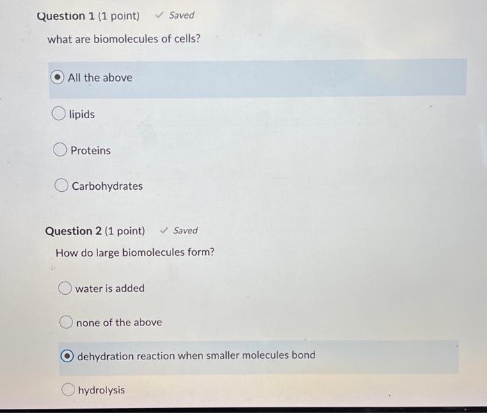 Question 1 1 Point Saved What Are Biomolecules Of Cells All The Above Olipids Proteins Carbohydrates Question 2 1 1