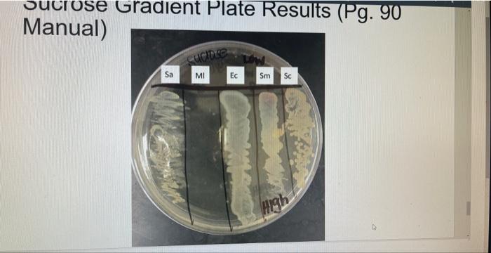 26 Osmotic Pressure 1 After Analyzing Class Data Use The Correct Terms To Characterize Each Of The Organisms Regardi 2