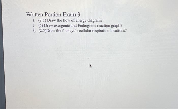 Written Portion Exam 3 1 2 5 Draw The Flow Of Energy Diagram 2 5 Draw Exergonic And Endergonic Reaction Graph 3 1