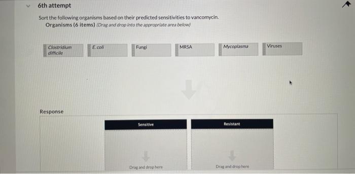 6th Attempt Sort The Following Organisms Based On Their Predicted Sensitivities To Vancomycin Organisms 6 Items Drag 1