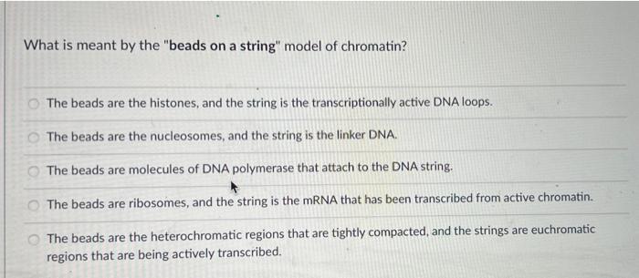 What Is Meant By The Beads On A String Model Of Chromatin The Beads Are The Histones And The String Is The Transcrip 1