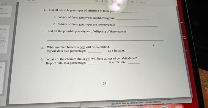 Question Materials Genetic Problems 2 Coins Penny Nickel Labelled Procedure These Problems Are Set Up To Predict Th 10