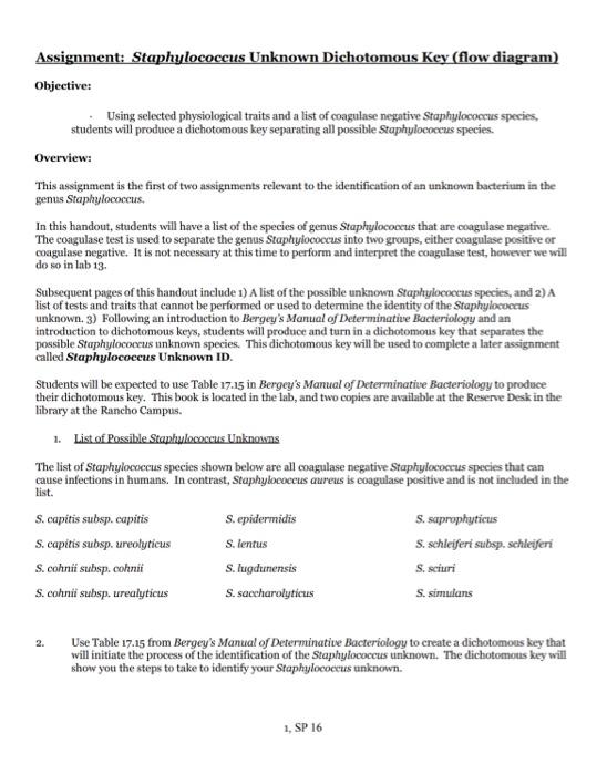 Assignment Staphylococcus Unknown Dichotomous Key Flow Diagram Objective Using Selected Physiological Traits And A L 1