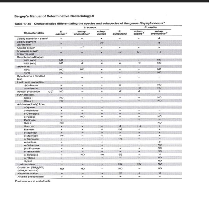 Assignment Staphylococcus Unknown Dichotomous Key Flow Diagram Objective Using Selected Physiological Traits And A L 6