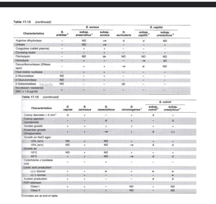 Assignment Staphylococcus Unknown Dichotomous Key Flow Diagram Objective Using Selected Physiological Traits And A L 7