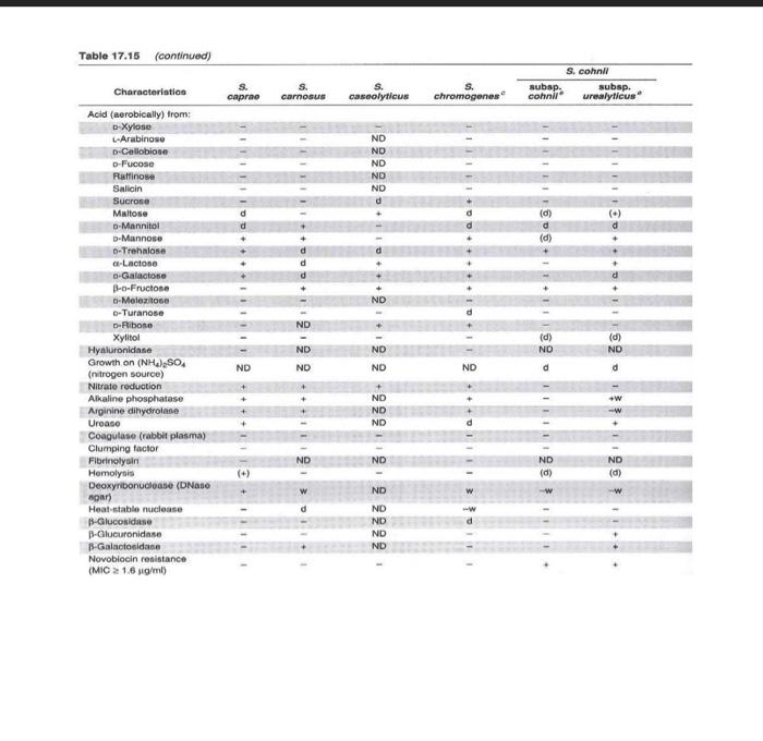 Assignment Staphylococcus Unknown Dichotomous Key Flow Diagram Objective Using Selected Physiological Traits And A L 8