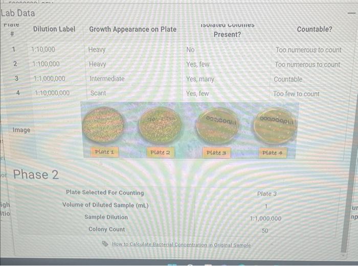 You Discover That The Plate You Selected Had Only Been Inoculated With 0 1ml Of The Dilution Instead Of 1ml Using The C 3