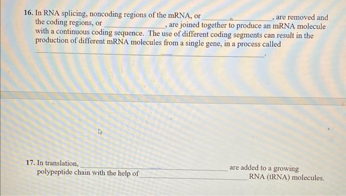 16 In Rna Splicing Noncoding Regions Of The Mrna Or The Coding Regions Or Are Removed And Are Joined Together To Pro 1