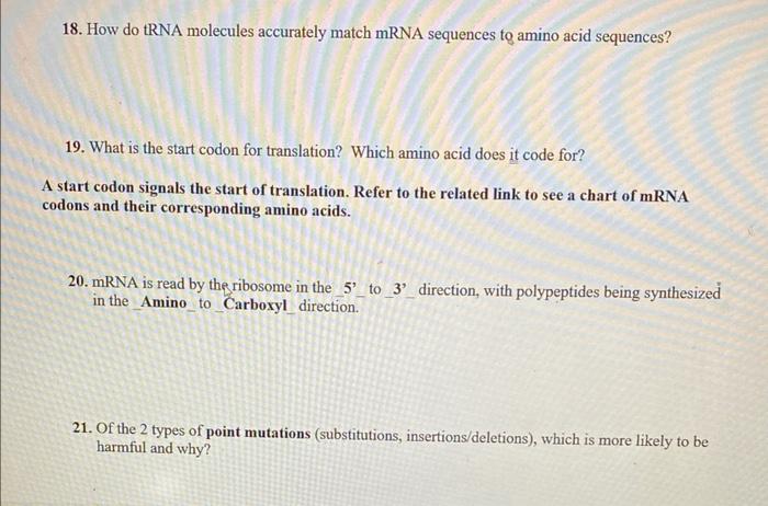 16 In Rna Splicing Noncoding Regions Of The Mrna Or The Coding Regions Or Are Removed And Are Joined Together To Pro 2