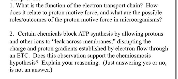 1 What Is The Function Of The Electron Transport Chain How Does It Relate To Proton Motive Force And What Are The Pos 1