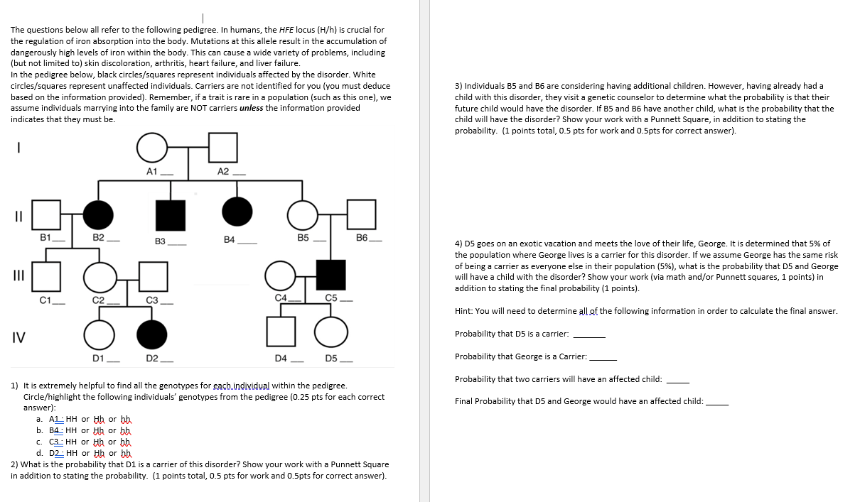 The Questions Below All Refer To The Following Pedigree In Humans The Hfe Locus H H Is Crucial For The Regulation 1