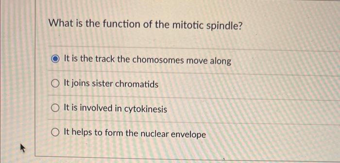 What Is The Function Of The Mitotic Spindle It Is The Track The Chomosomes Move Along O It Joins Sister Chromatids O It 1