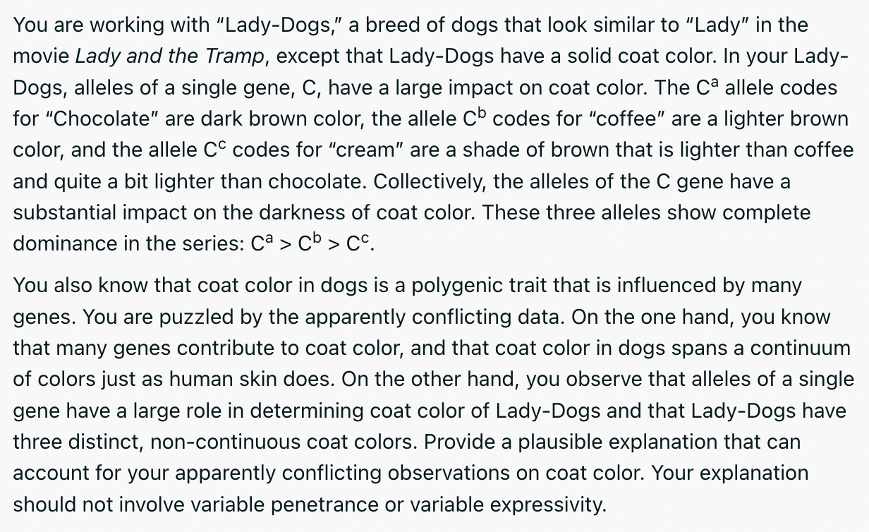 You Are Working With Lady Dogs A Breed Of Dogs That Look Similar To Lady In The Movie Lady And The Tramp Except Th 1