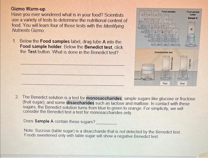 Gizmo Warm Up Have You Ever Wondered What Is In Your Food Scientists Use A Variety Of Tests To Determine The Nutritiona 1