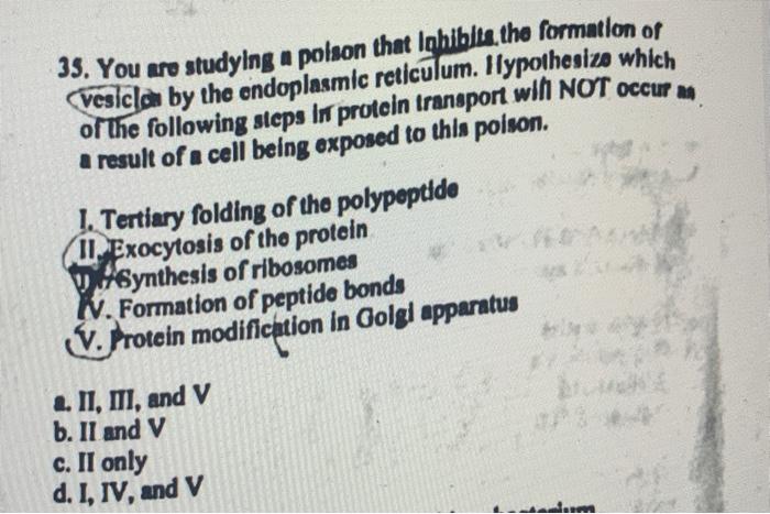 35 You Are Studying A Polson That Inhibits The Formation Of Vesicle By The Endoplasmic Reticulum Ilypothesize Which Of 1