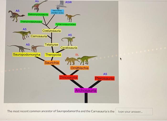 As As 2 Deinonychosauria Therizinosauroidea As Neomnithes Modern Birds Carnosauria Coelurosauria Tyrannosauroidea Teta 1
