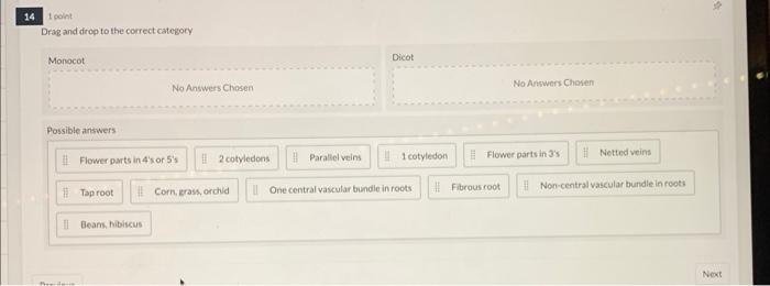 14 1 Point Drag And Drop To The Correct Category Monocot Possible Answers Prefeit Flower Parts In 4 S Or 5 S Tap Root No 1