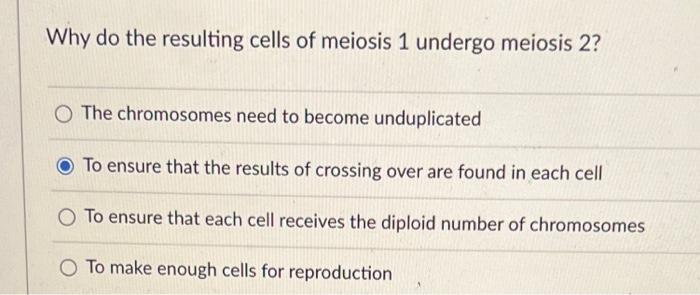 Why Do The Resulting Cells Of Meiosis 1 Undergo Meiosis 2 O The Chromosomes Need To Become Unduplicated To Ensure That 1