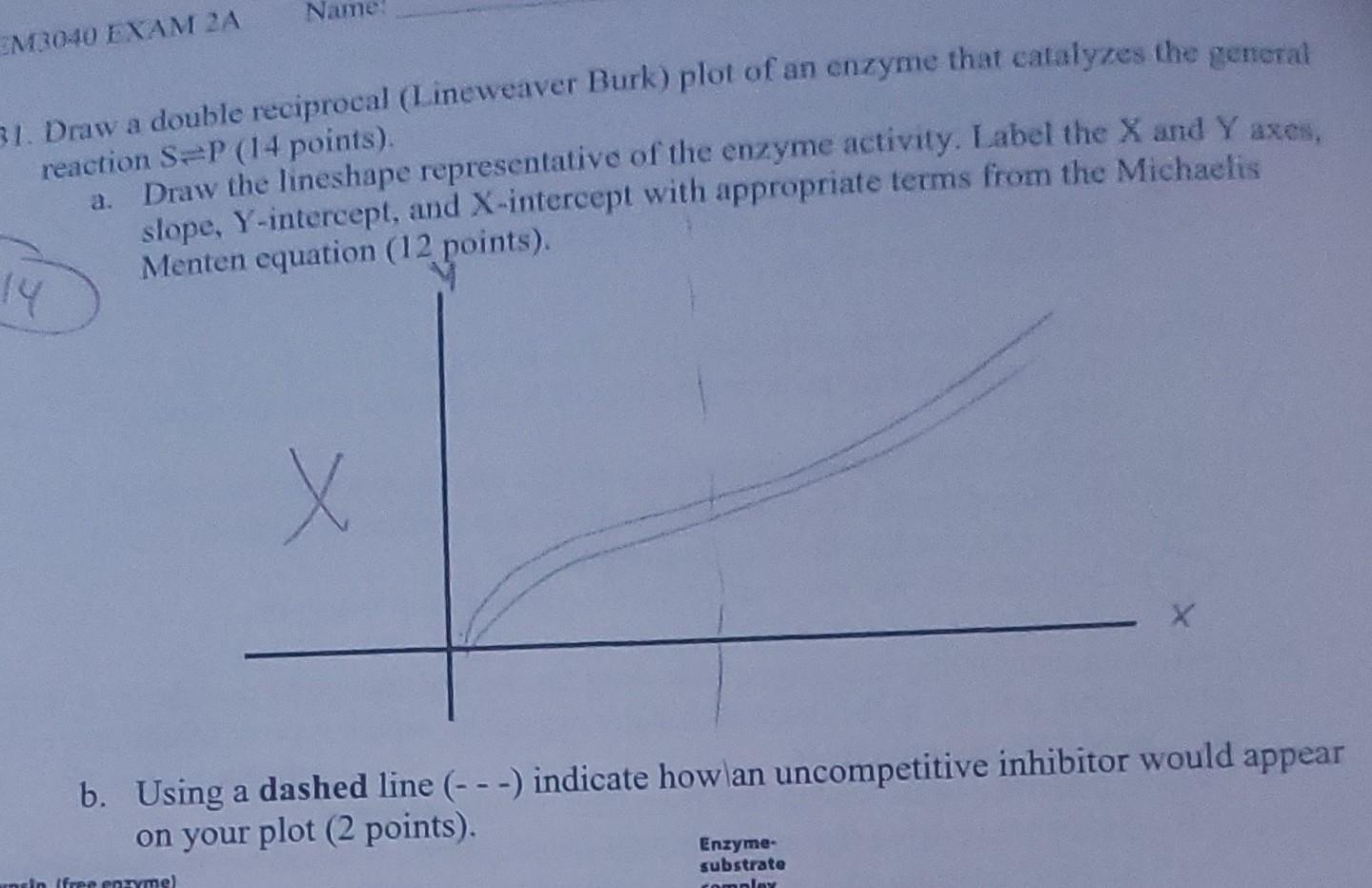 Em3040 Exam 2a 31 Draw A Double Reciprocal Lineweaver Burk Plot Of An Enzyme That Catalyzes The General Reaction Sp 1