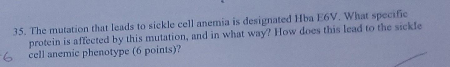 35 The Mutation That Leads To Sickle Cell Anemia Is Designated Hba E6v What Specific Protein Is Affected By This Mutat 1