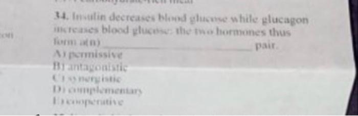 34 Insulin Decreases Blood Glucose While Glucagon Increases Blood Glucose The Two Hormones Thus Form Atn Pair As Per 1