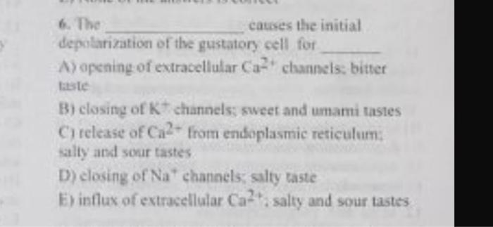 6 The Depolarization Of The Gustatory Cell For A Opening Of Extracellular Ca2 Channels Bitter Taste Causes The Initia 1