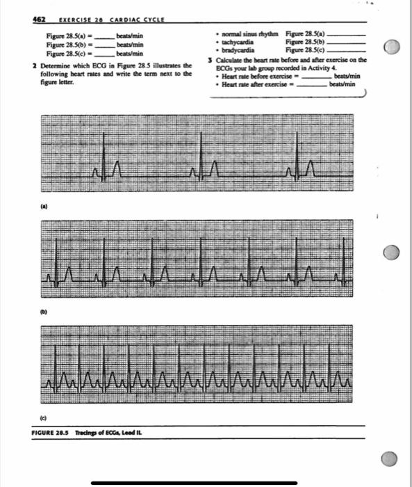 462 Exercise 20 Cardiac Cycle Figure 28 5 A Figure 28 5 B Figure 28 5 C Beats Min Beats Min Beats Min 2 Determine W 1
