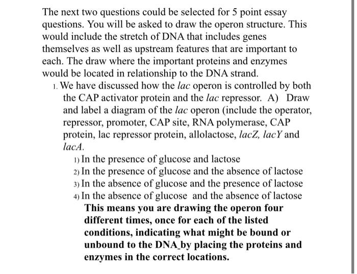 The Next Two Questions Could Be Selected For 5 Point Essay Questions You Will Be Asked To Draw The Operon Structure Th 1