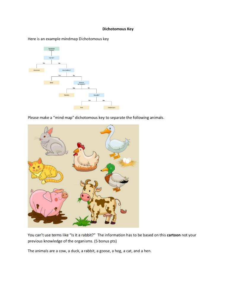 Dichotomous Key Here Is An Example Mindmap Dichotomous Key B Welliped A Please Make A Mind Map Dichotomous Key To Sepa 1