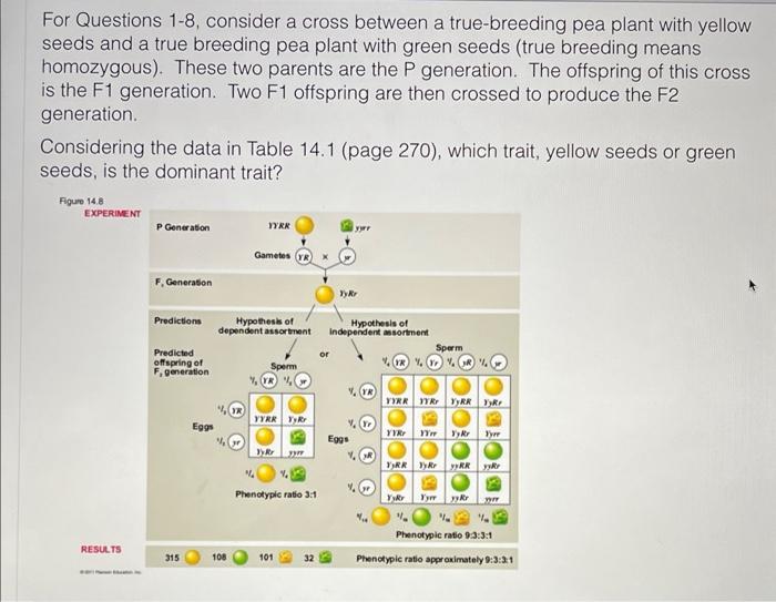 For Questions 1 8 Consider A Cross Between A True Breeding Pea Plant With Yellow Seeds And A True Breeding Pea Plant Wi 1