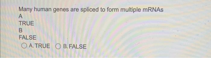 Many Human Genes Are Spliced To Form Multiple Mrnas A True B False Oa True O B False What Gametes Could Be Produced F 1